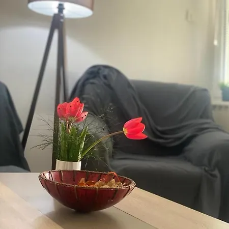 B&m Lägenhet *
